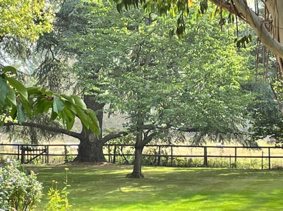 Escape To Ash House 18Th Century Manor In Somerset Martock Luaran gambar