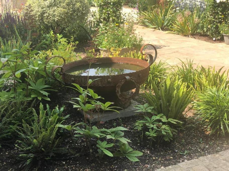 Escape To Ash House 18Th Century Manor In Somerset Martock Luaran gambar