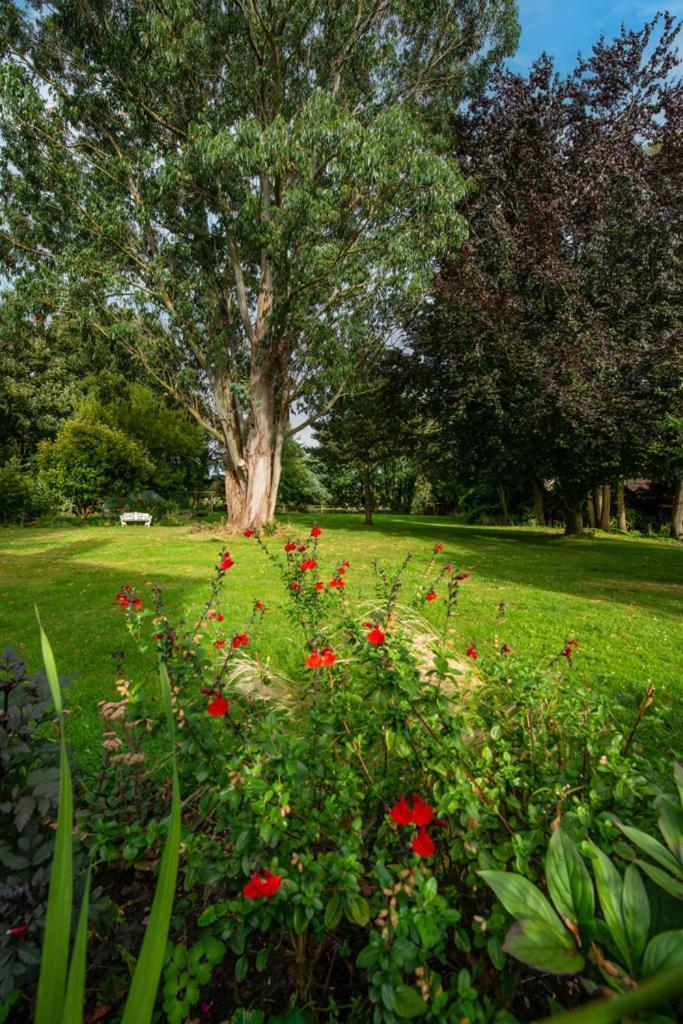 Escape To Ash House 18Th Century Manor In Somerset Martock Luaran gambar