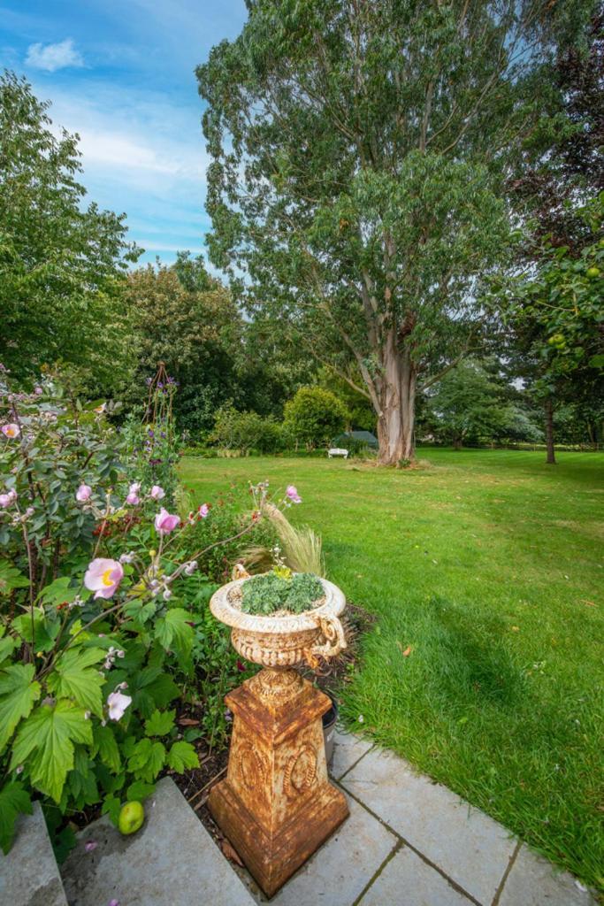 Escape To Ash House 18Th Century Manor In Somerset Martock Luaran gambar