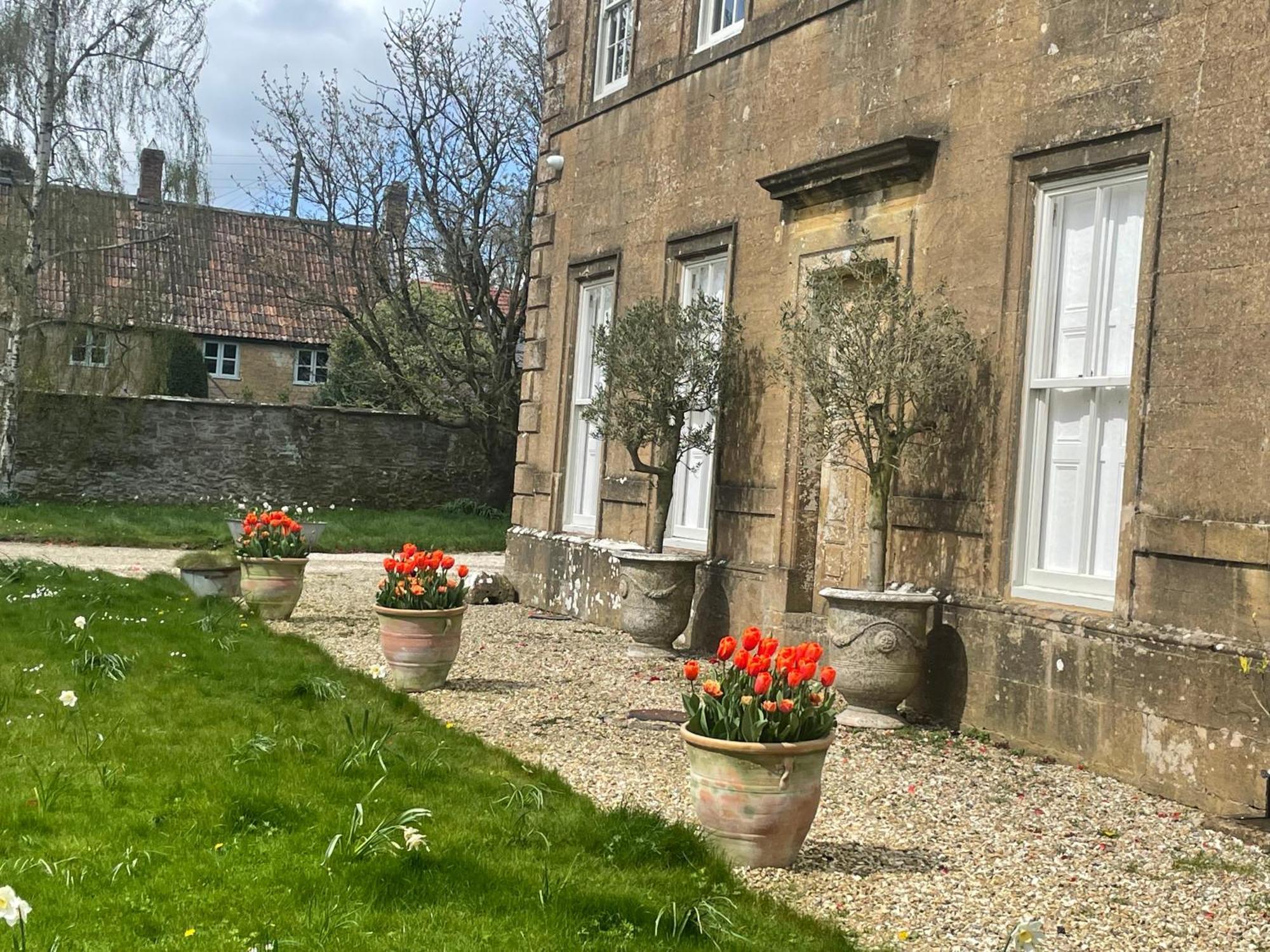 Escape To Ash House 18Th Century Manor In Somerset Martock Luaran gambar